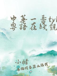中华一番tvb粤语在线观看免费