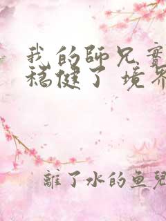 我的师兄实在太稳健了 境界划分