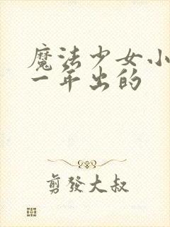 魔法少女小圆哪一年出的