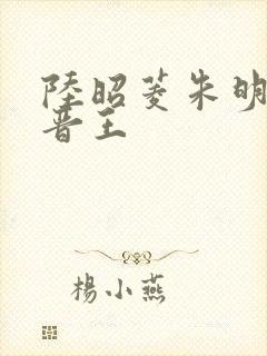 陆昭菱朱明浩和晋王