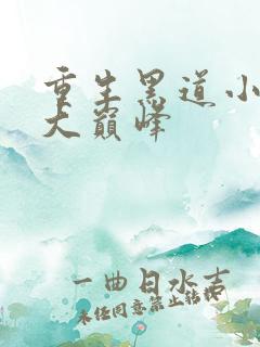 重生黑道小说十大巅峰