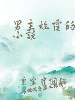 男主姓霍的全部小说