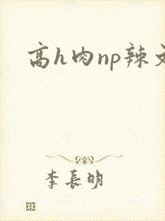 高h肉np辣文
