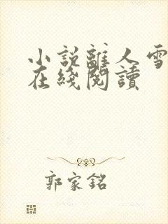 小说离人雪满襟在线阅读