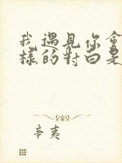 我遇见你会有怎样的对白是什么歌