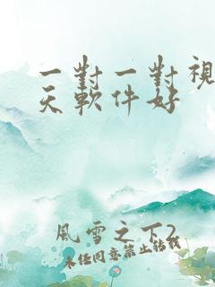 一对一对视频聊天软件好