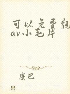 可以免费观看的av小毛片