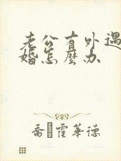 老公有外遇提离婚怎么办