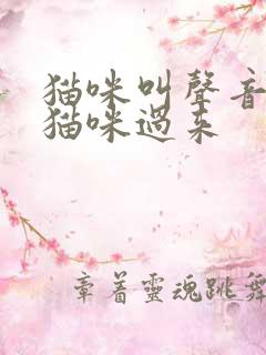 猫咪叫声音吸引猫咪过来