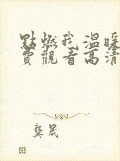 点燃我温暖你免费观看高清