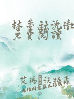 林梦秋沈彻姜衡免费阅读