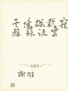 千亿总裁宠妻上瘾 苏流云