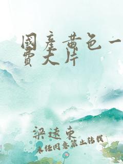 国产黄色一级免费大片