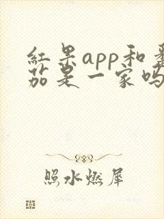 红果app和番茄是一家吗