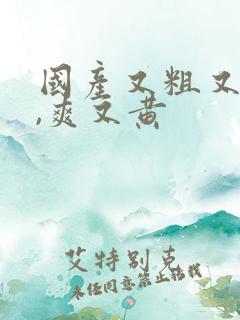 国产又粗又猛又,爽又黄