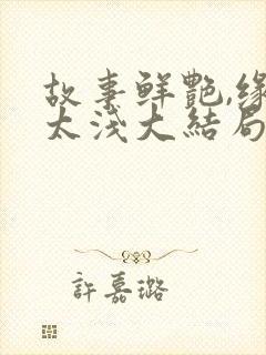 故事鲜艳,缘分太浅大结局