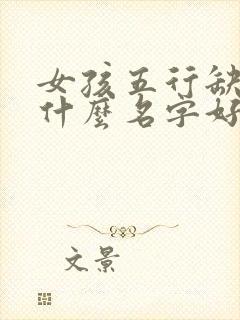 女孩五行缺金取什么名字好