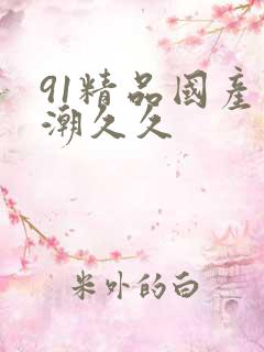 91精品国产高潮久久