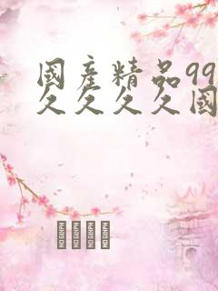 国产精品99久久久久久国产