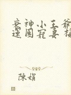 衰神小王爷的福运团宠妻 梅果