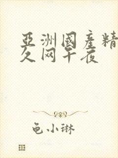 亚洲国产精品久久网午夜