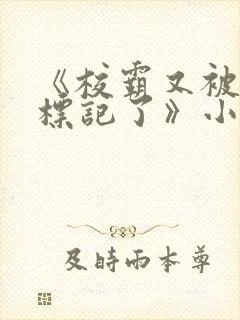 《校霸又被学神标记了》小说by青羽