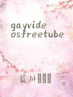 gayvideosfreetube