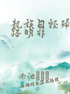 龙族日轻归来的路明非