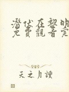 潜伏在黎明之前免费观看完整版电视剧