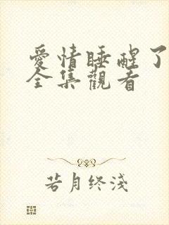 爱情睡醒了免费全集观看