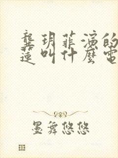 龚玥菲演的潘金莲叫什么电影名