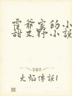 霍爷家的小祖宗甜又野小说完整版阅读全文
