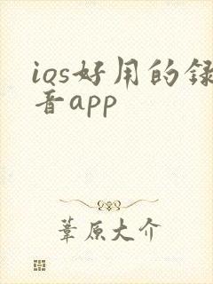 ios好用的录音app