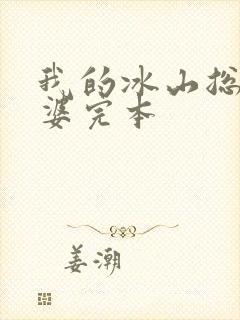 我的冰山总裁老婆完本