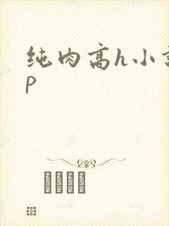 纯肉高h小说np