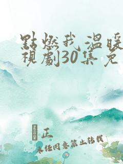 点燃我温暖你电视剧30集免费观看