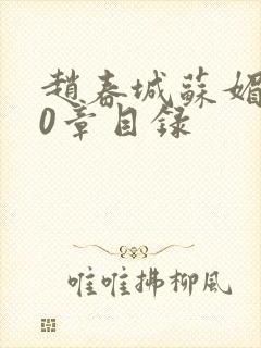 赵春城苏媚200章目录