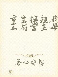 重生换亲,我在王府当主母