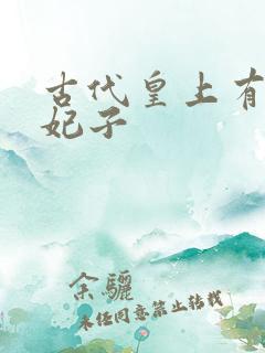 古代皇上有多少妃子