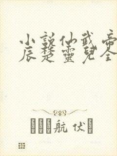 小说仙武帝尊叶辰楚灵儿全文免费阅读