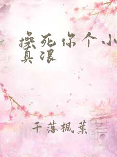 操死你个小骚货真浪