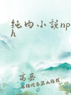 纯肉小说np高h
