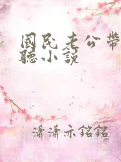 国民老公带回家听小说