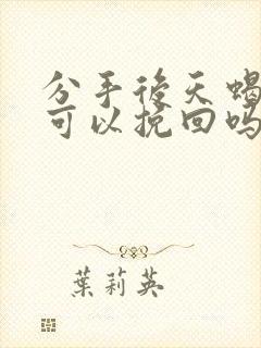 分手后天蝎男还可以挽回吗