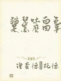 猫儿吐白色泡沫是怎么回事