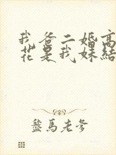 我爸二婚高冷校花是我妹结局