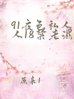 91夜色私人成人18禁老湿电影