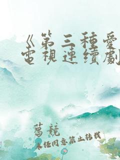 《第三种爱情》电视连续剧