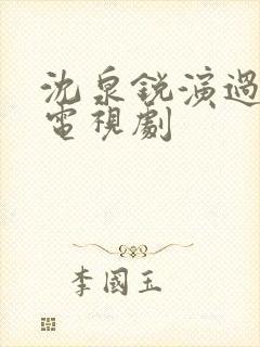 沈泉锐演过哪些电视剧