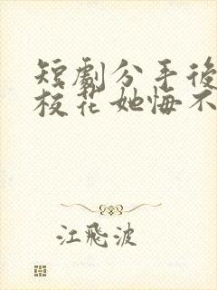 短剧分手后高冷校花她悔不当初免费下载